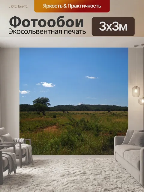Фотообои далекий жираф на лугах