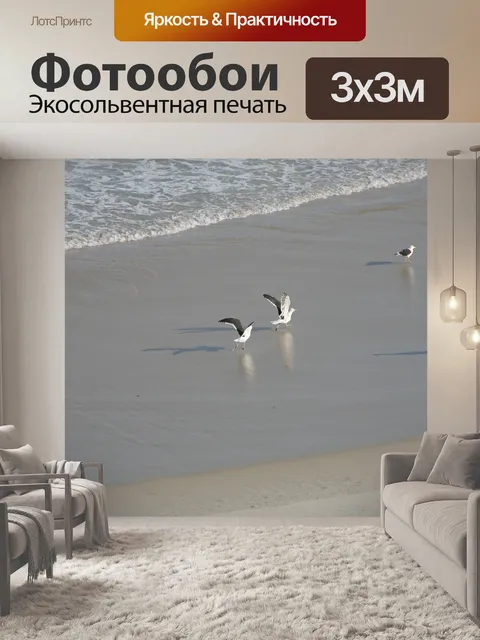 Фотообои Чайки