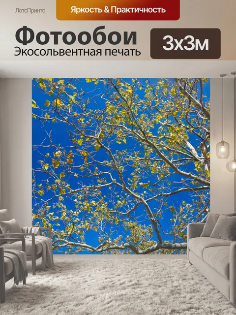 Фотообои осеннее дерево и голубое небо