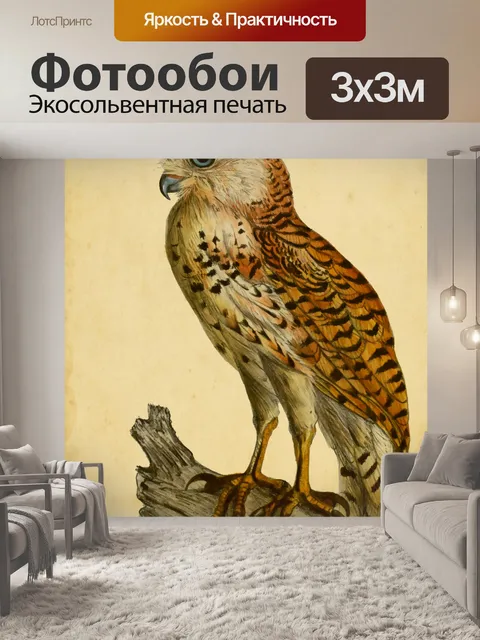 Фотообои Сова, Птица Винтажное Искусство