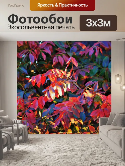 Фотообои Мыс пепел новые красные листья