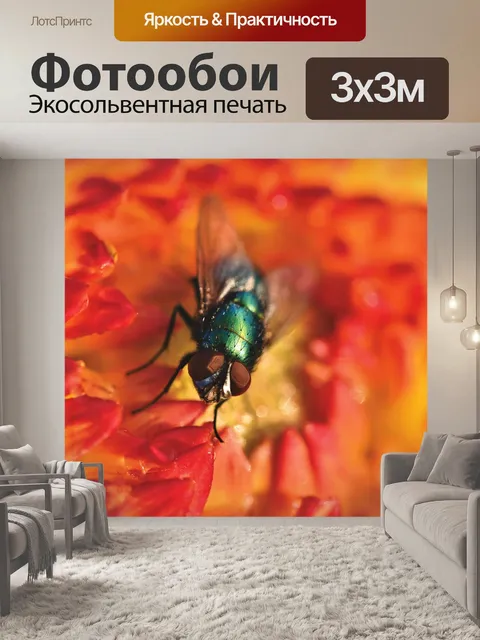 Фотообои Летать