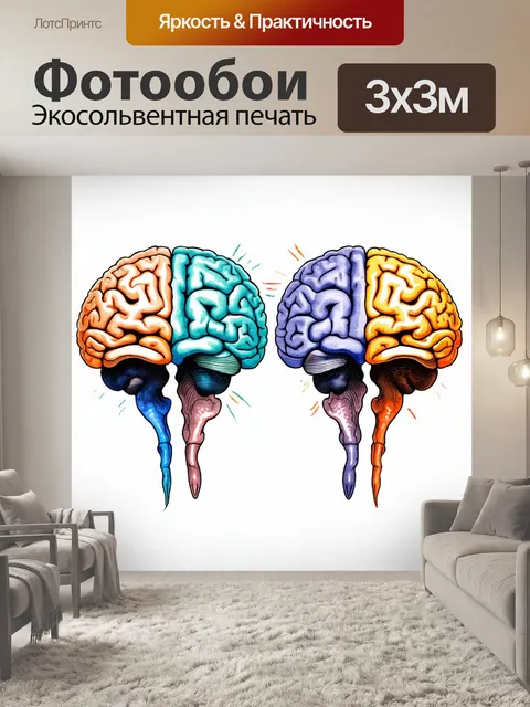 Фотообои изображение мозгов, выполненное в технике акварельной живописи, где каждый мозг представляет разные аспекты…