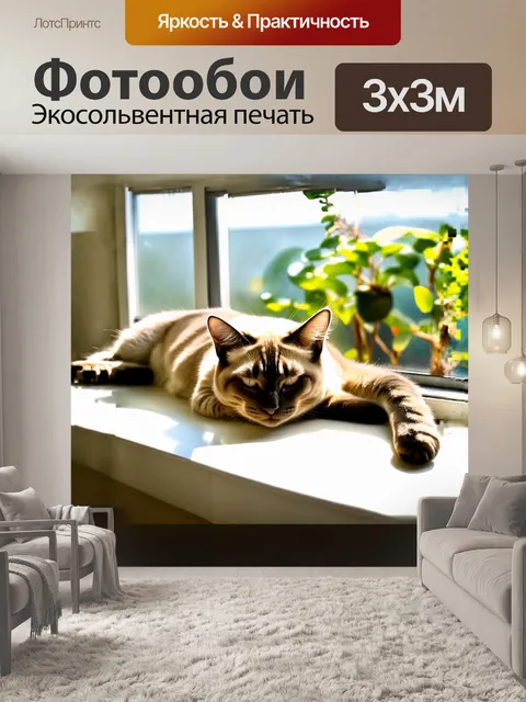 Фотообои сиамский кот, растянувшись на солнечном подоконнике, нежно дремлет