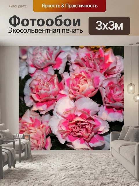 Фотообои розовые цветы 8