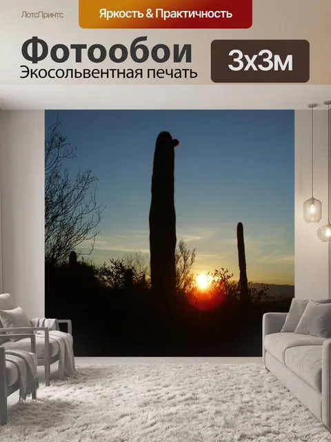 Фотообои Tucson восхода 2012