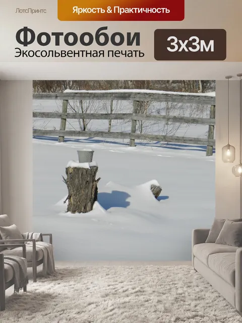 Фотообои Мой двор в зимний период (1)