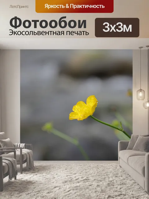 Фотообои Лютик
