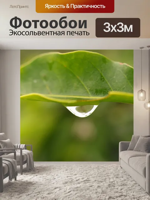 Фотообои Картинки