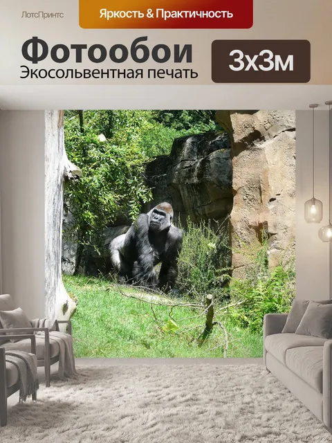 Фотообои Горилла