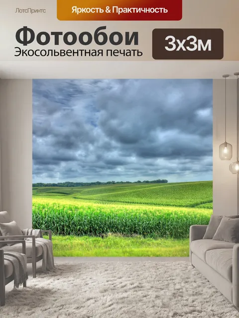 Фотообои нива