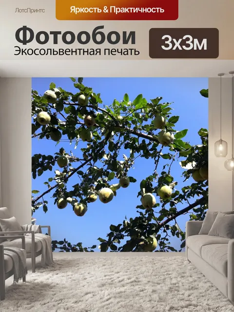 Фотообои Груши