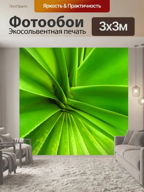 Фотообои Зеленый лист пальмы