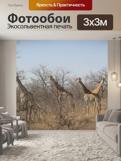 Фотообои Жирафы