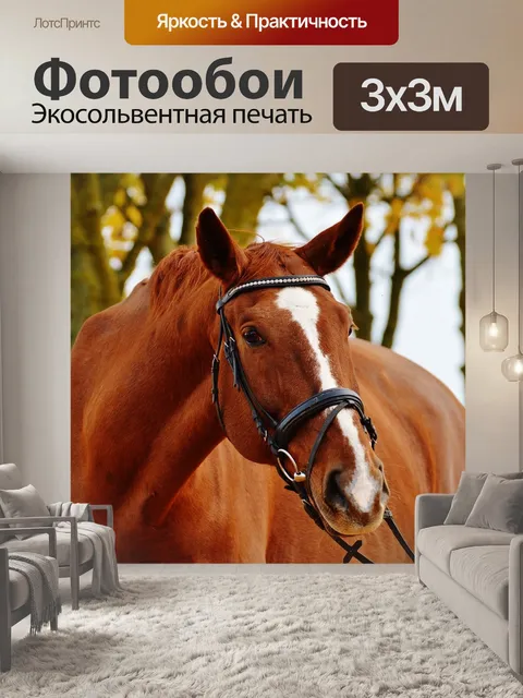 Фотообои Лошадь