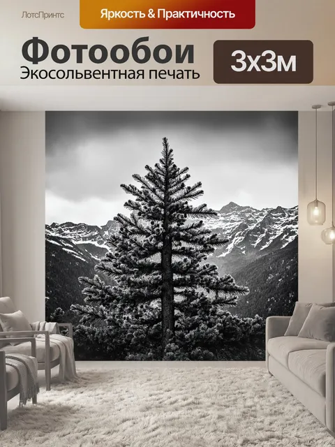 Фотообои в горах, где воздух чист и холоден, растет крепкое хвойное дерево, усыпанное шишками