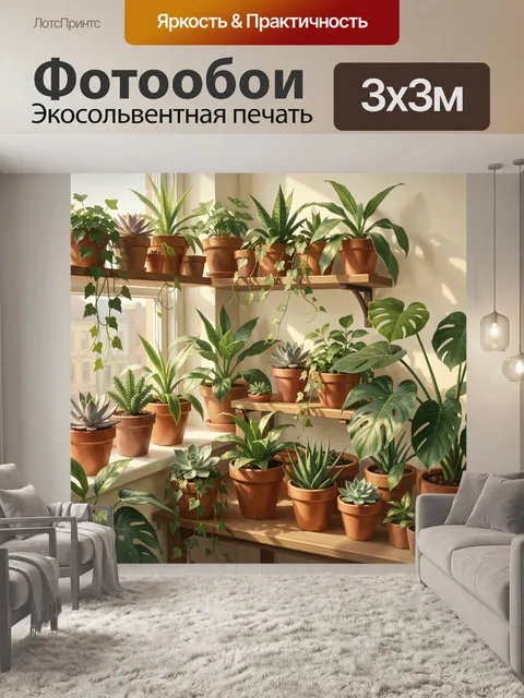 Фотообои Комнатные растения на солнечных полках