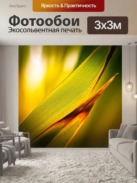 Фотообои Пальма