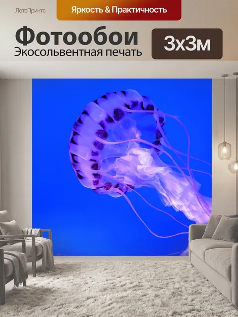 Фотообои медуза