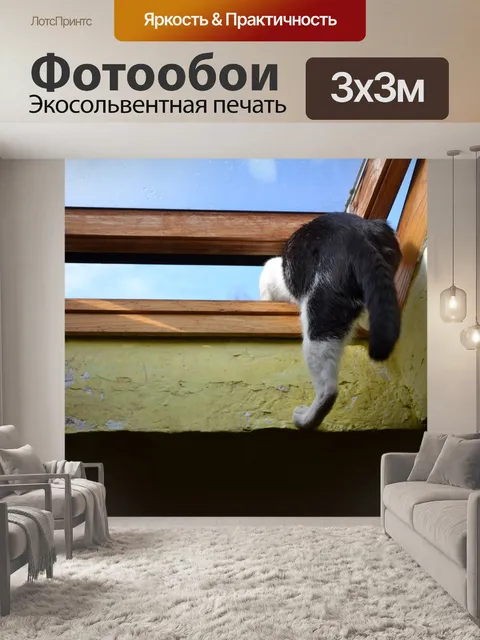 Фотообои Kot