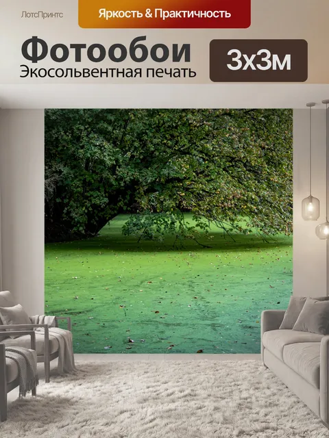 Фотообои Дерево в воде, папоротники ряски