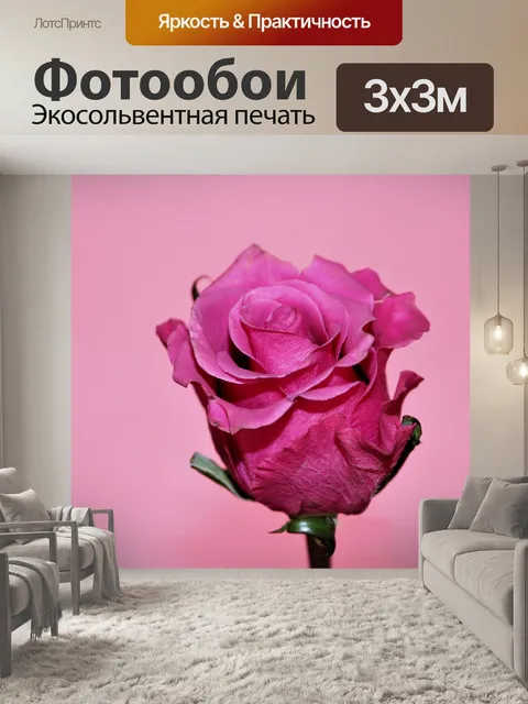 Фотообои Розовый бутон розы на розовом фоне
