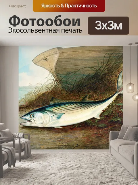 Фотообои Рыба скумбрия винтажное искусство