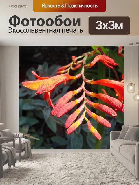 Фотообои Цветок