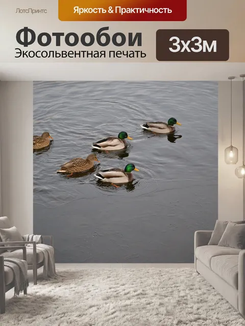Фотообои утки