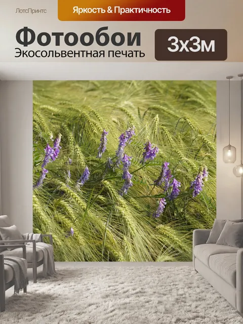 Фотообои Пчелиное пастбище Фацелия цветы поле