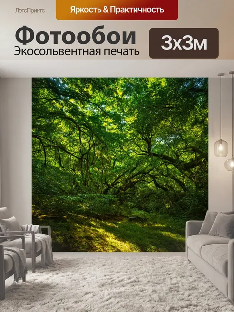 Фотообои зелёный вековой лес с широкими кронами, создающими живописные тени
