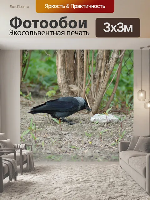Фотообои Птицы