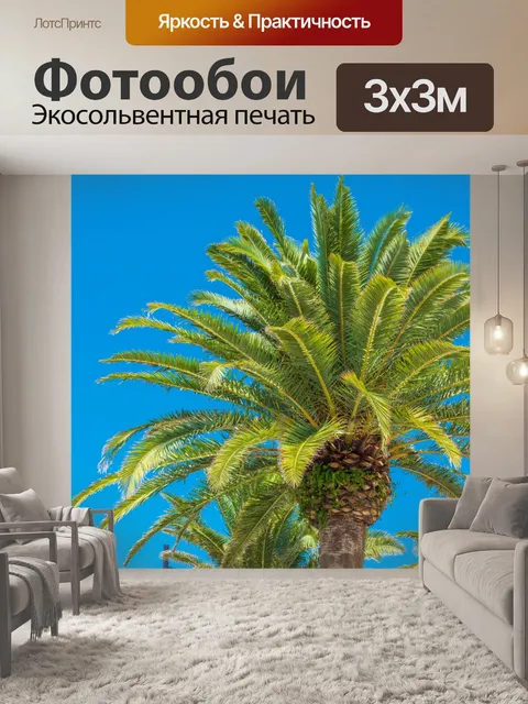 Фотообои Пальмы и голубое небо