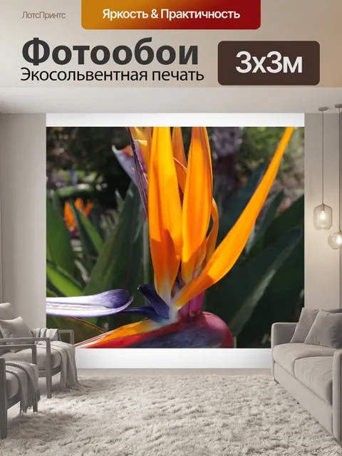 Фотообои Райская птица