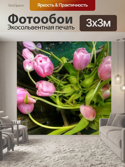 Фотообои Положить плоские розовые тюльпаны