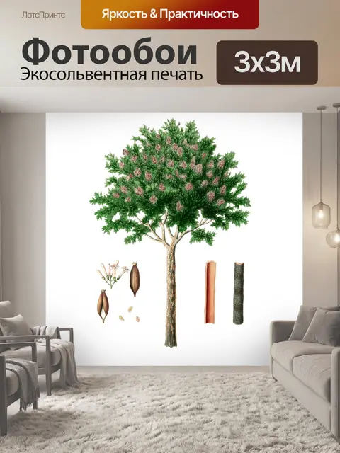 Фотообои хининовое дерево картинки
