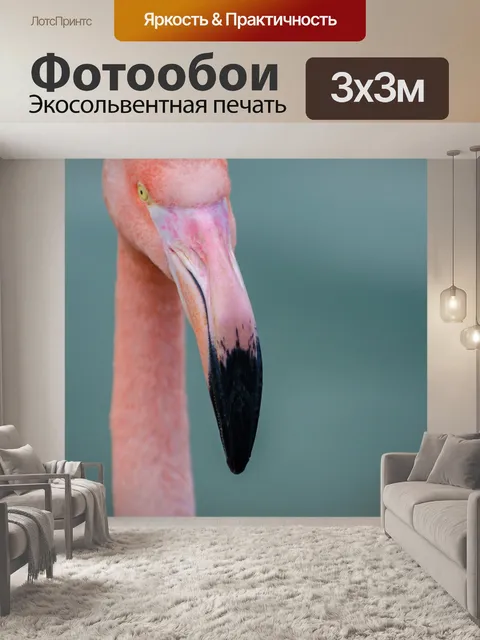 Фотообои Розовый фламинго