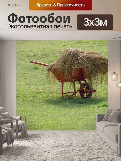 Фотообои Тачка