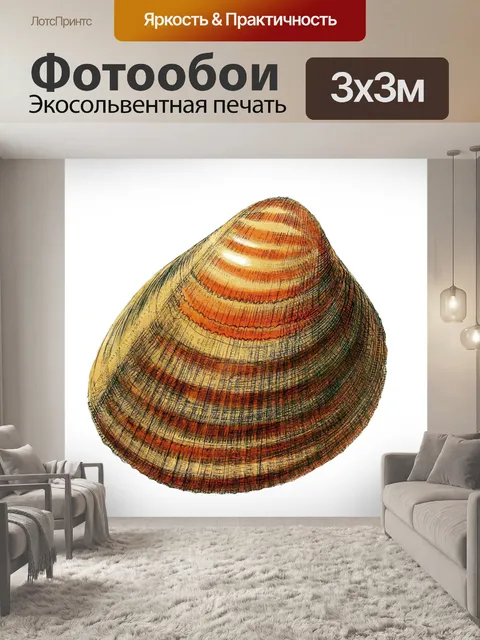 Фотообои Ракушка улитка винтажное искусство