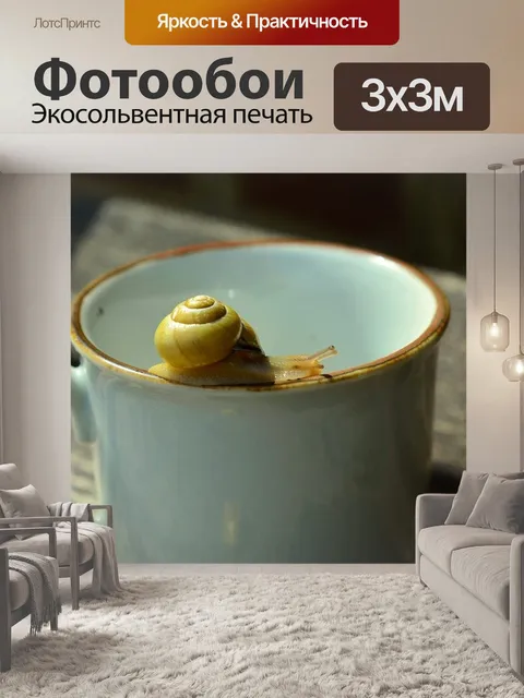 Фотообои Улитка
