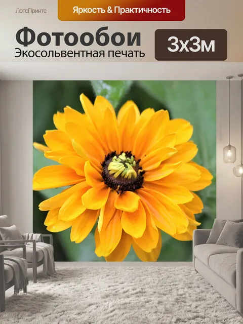 Фотообои Черноглазый цветок Сьюзан