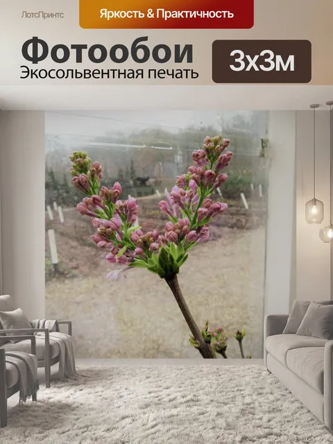 Фотообои Розовый цветок