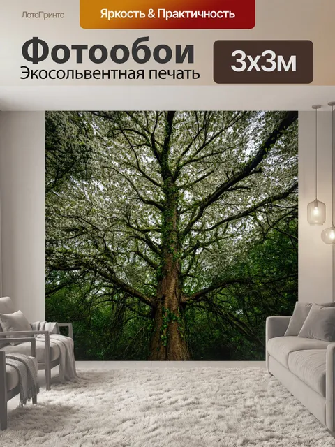 Фотообои лес с высокими и крепкими деревьями, обвитыми цветущими лианами