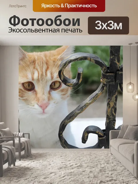 Фотообои Китти