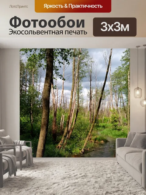 Фотообои Деревья