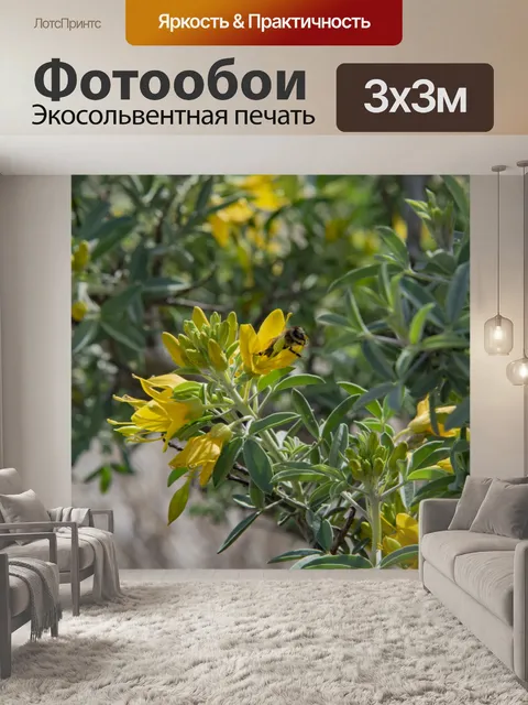 Фотообои Желтая цветочная пчела