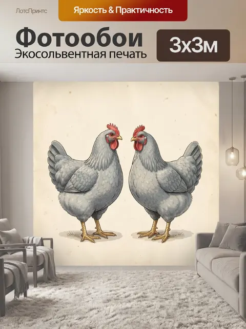 Фотообои Две серые домашние курицы