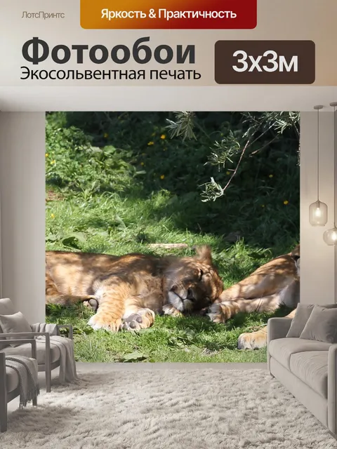 Фотообои Лев