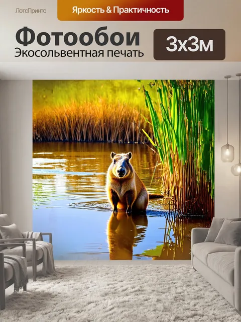 Фотообои капибара на берегу спокойной реки сидит среди тростника, с изящным отражением в воде