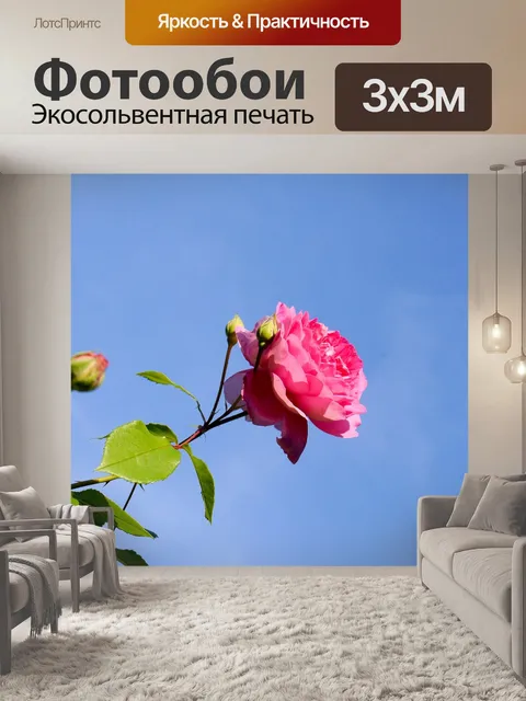 Фотообои Роза
